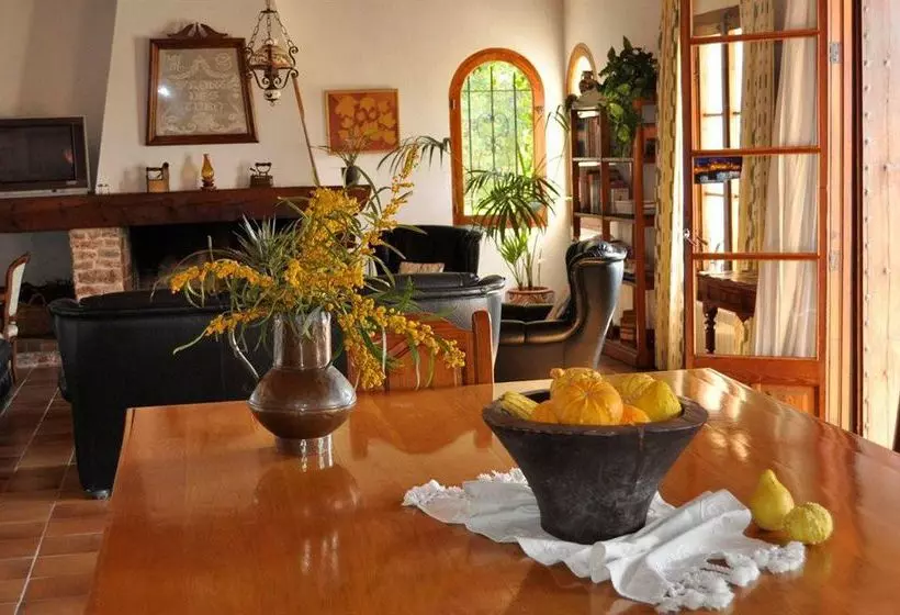 فندق ريفى Finca Es Carbó