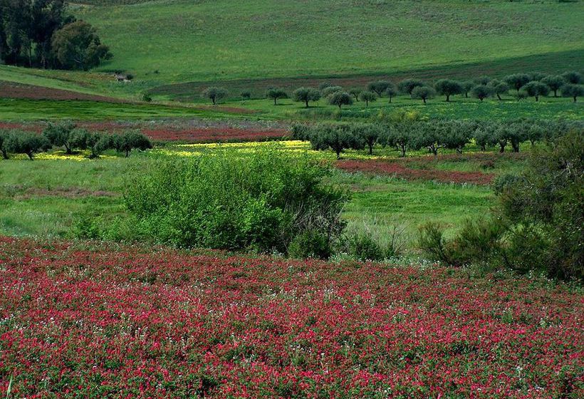 فندق Ciuri Di Badia