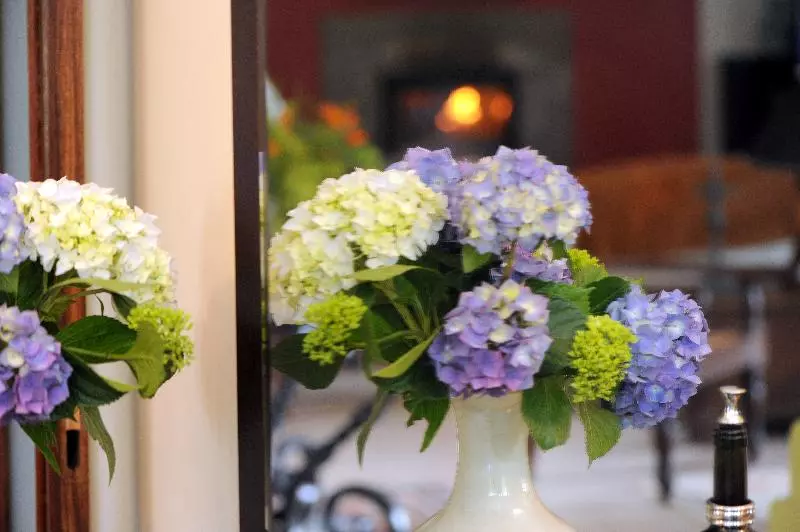 Hotel Quinta Da Cova Do Milho