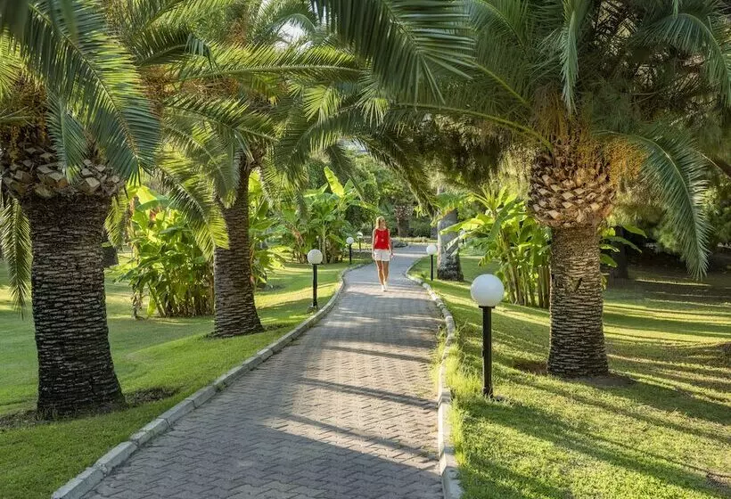 Отель Sunrise Resort