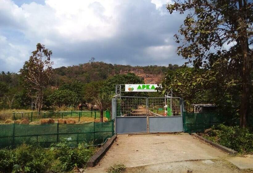 Hotel Apka Ecovillage