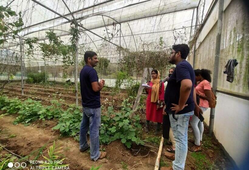 Hotel Apka Ecovillage