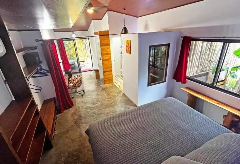 ホテル Casa Swell Coronado A Unique Blend Of Luxury And Nature In The Hearth Of Coronado