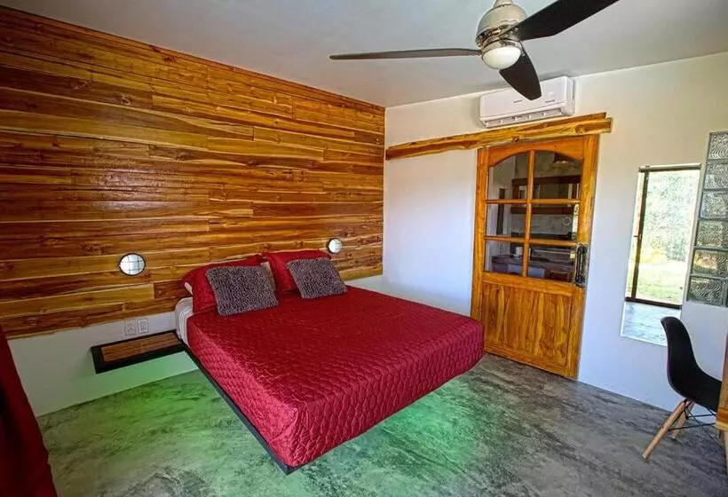 ホテル Casa Swell Coronado A Unique Blend Of Luxury And Nature In The Hearth Of Coronado