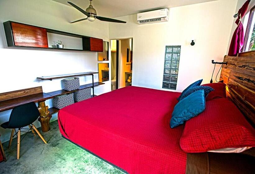 ホテル Casa Swell Coronado A Unique Blend Of Luxury And Nature In The Hearth Of Coronado