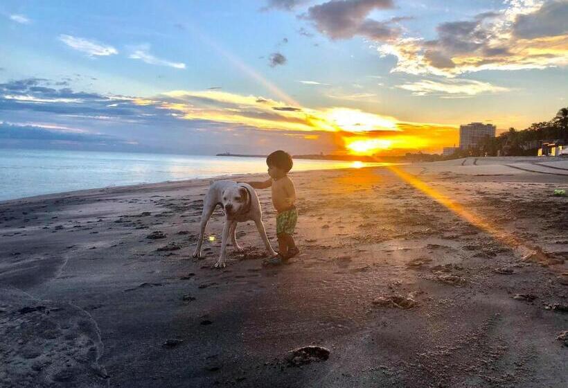 ホテル Casa Swell Coronado A Unique Blend Of Luxury And Nature In The Hearth Of Coronado