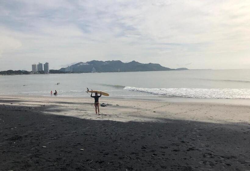 ホテル Casa Swell Coronado A Unique Blend Of Luxury And Nature In The Hearth Of Coronado