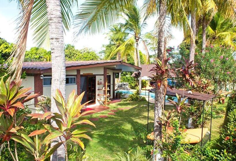 ホテル Casa Swell Coronado A Unique Blend Of Luxury And Nature In The Hearth Of Coronado