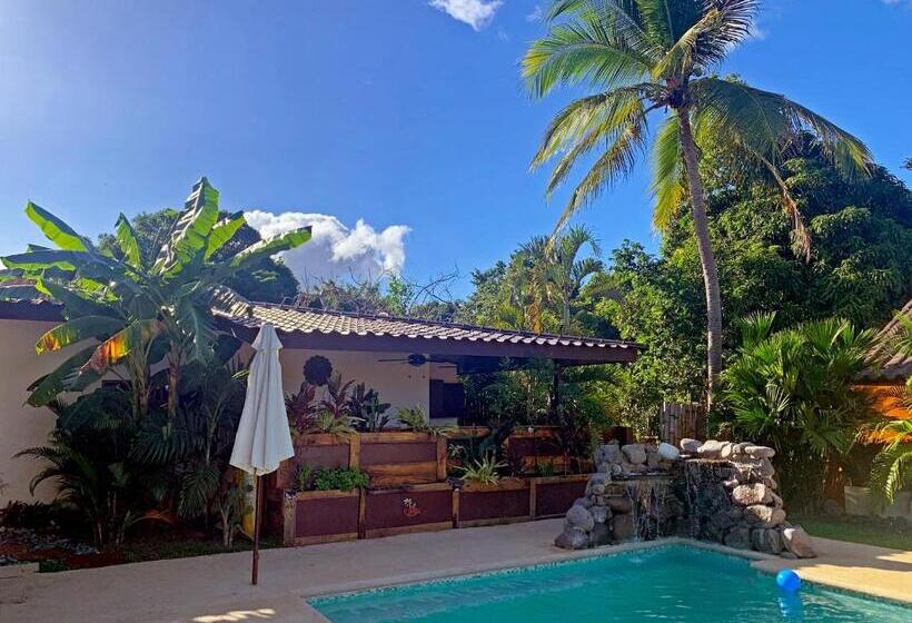 ホテル Casa Swell Coronado A Unique Blend Of Luxury And Nature In The Hearth Of Coronado