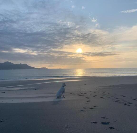 ホテル Casa Swell Coronado A Unique Blend Of Luxury And Nature In The Hearth Of Coronado