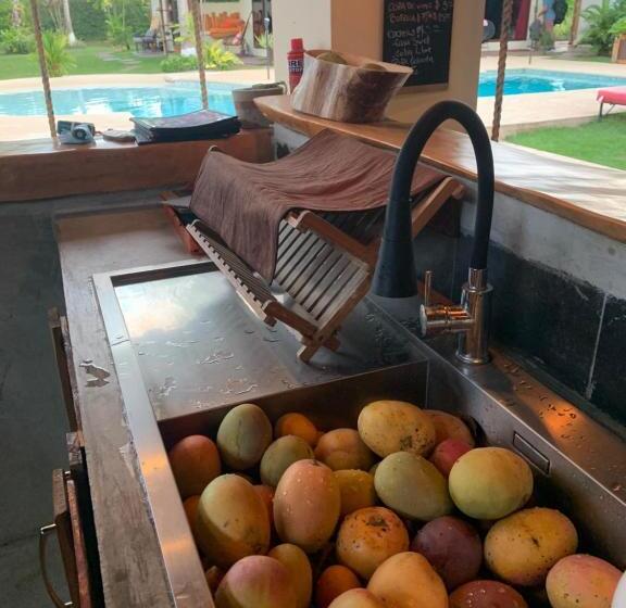 ホテル Casa Swell Coronado A Unique Blend Of Luxury And Nature In The Hearth Of Coronado