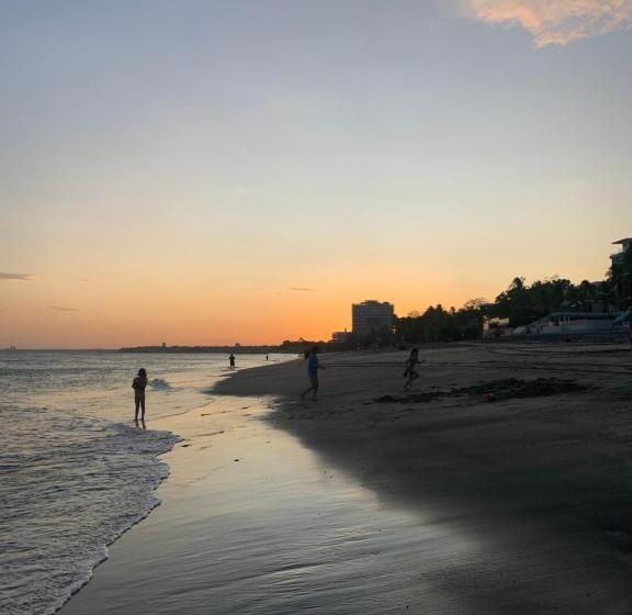 ホテル Casa Swell Coronado A Unique Blend Of Luxury And Nature In The Hearth Of Coronado