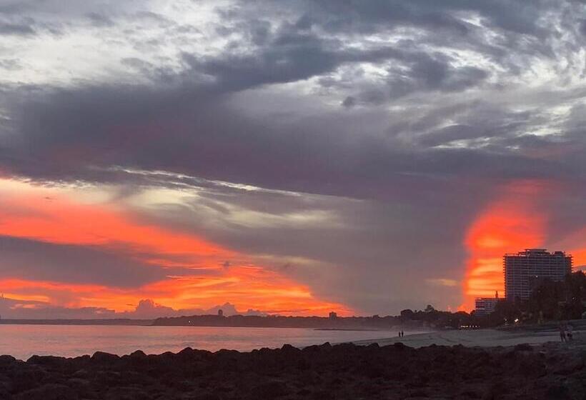 ホテル Casa Swell Coronado A Unique Blend Of Luxury And Nature In The Hearth Of Coronado