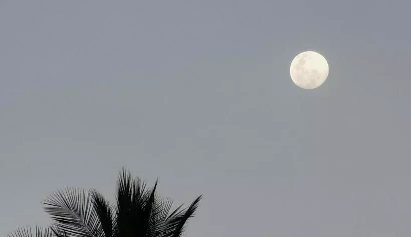 Hotelli Ritmo Tropical   Pool And Breakfast