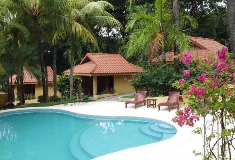 Hotelli Ritmo Tropical   Pool And Breakfast