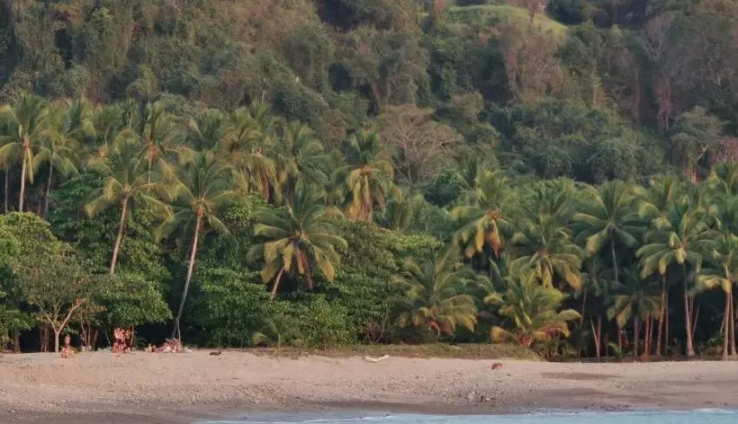 Hotelli Ritmo Tropical   Pool And Breakfast