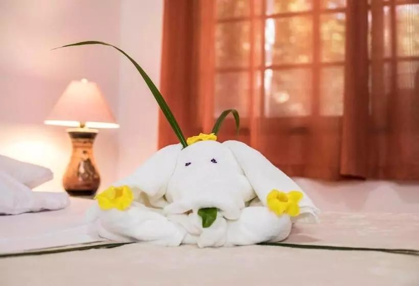 La Puesta Del Sol B&b