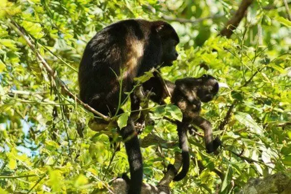 La Puesta Del Sol B&b