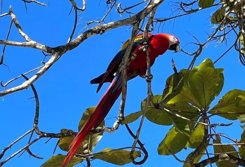 La Puesta Del Sol B&b