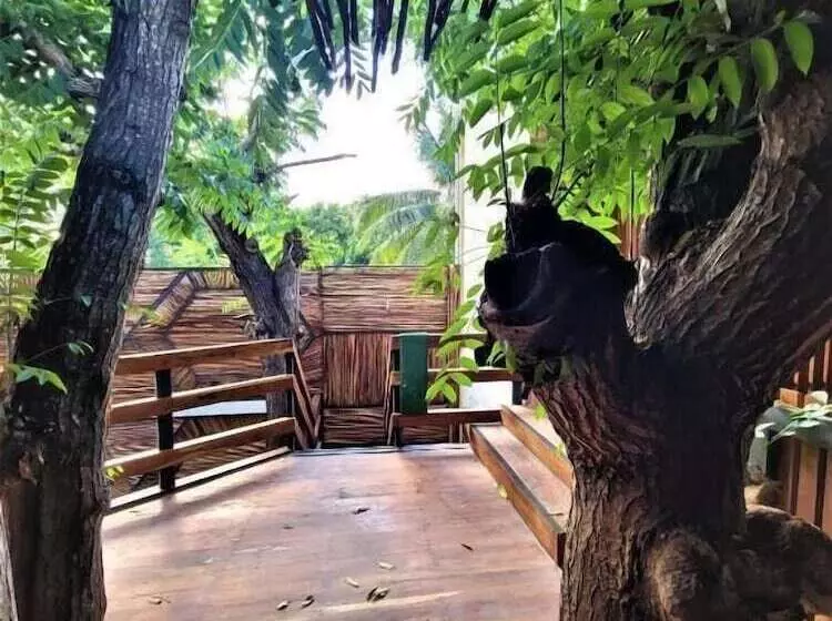 پانسیون Hostal Malakai Cabanas & Dorms