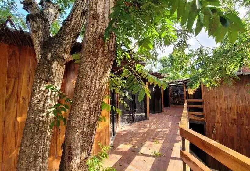 پانسیون Hostal Malakai Cabanas & Dorms