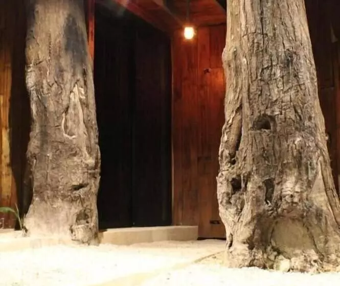 پانسیون Hostal Malakai Cabanas & Dorms