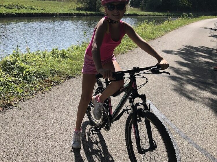 هتل Les Remparts Hôtels Et Demeures Historiques