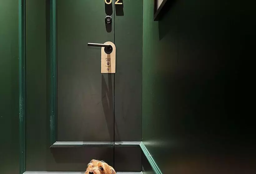 Nivia Born Boutique Hotel