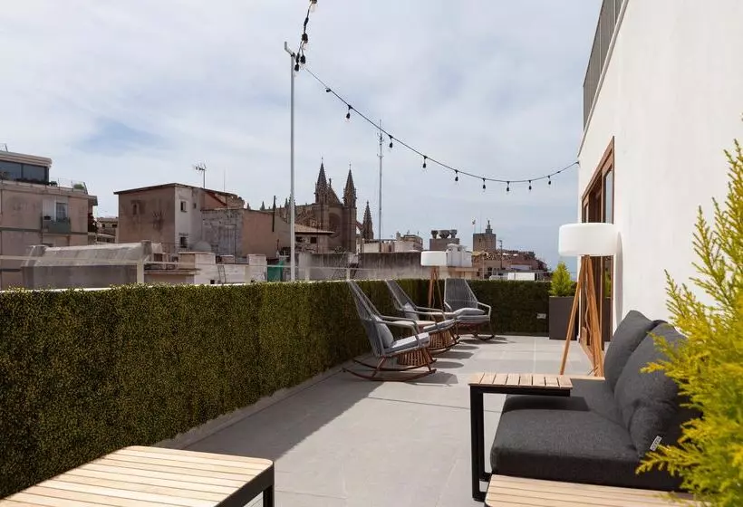 Nivia Born Boutique Hotel