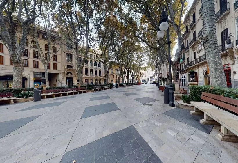 Nivia Born Boutique Hotel