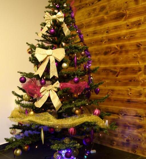 بنسيون Casa Raisa