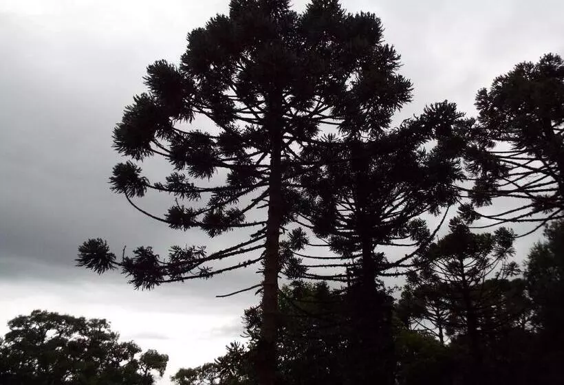 Majatalo Pousada Perola Da Mantiqueira