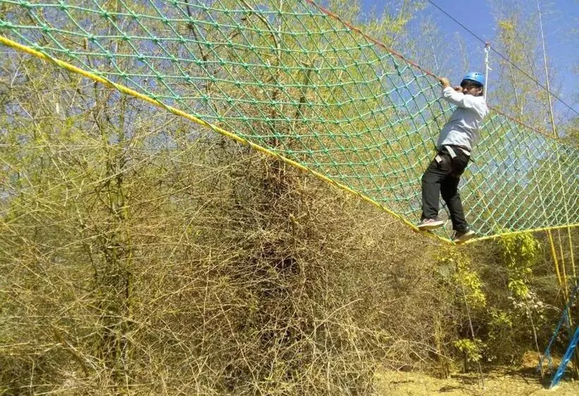 Lomakeskus The Celebration Van Vilas