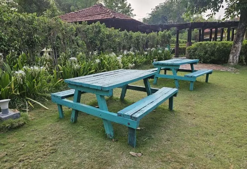 Lomakeskus The Celebration Van Vilas