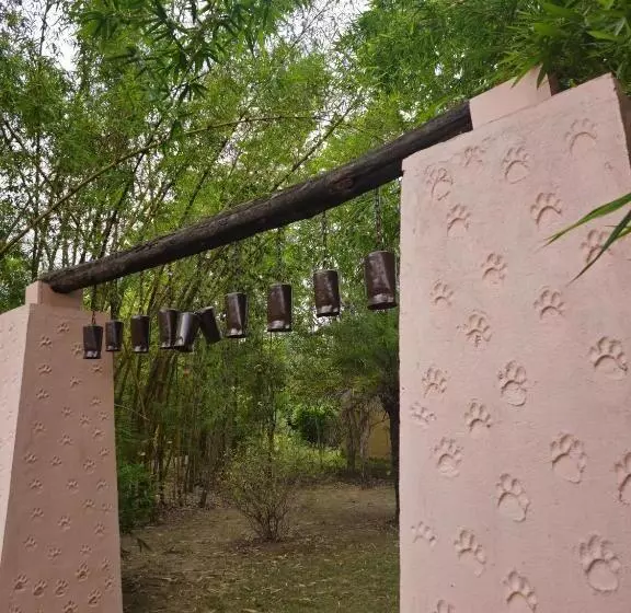 Lomakeskus The Celebration Van Vilas