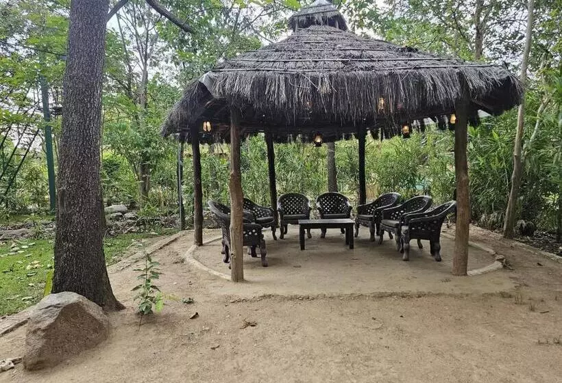 Lomakeskus The Celebration Van Vilas