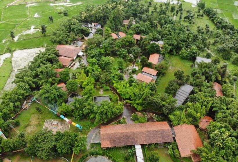 Курорт The Celebration Van Vilas