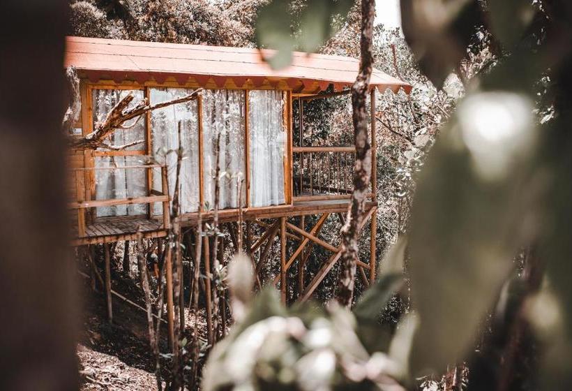 ユースホステル Nativos Real Guatape