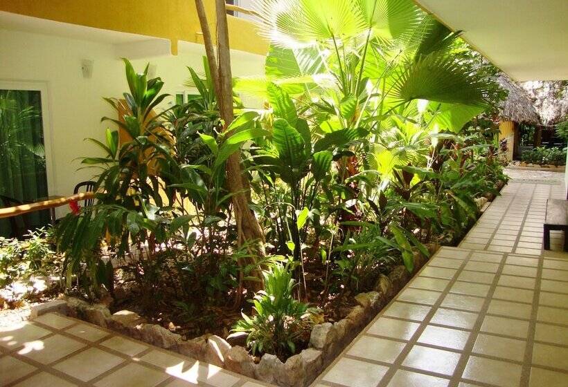 فندق Chablis Palenque