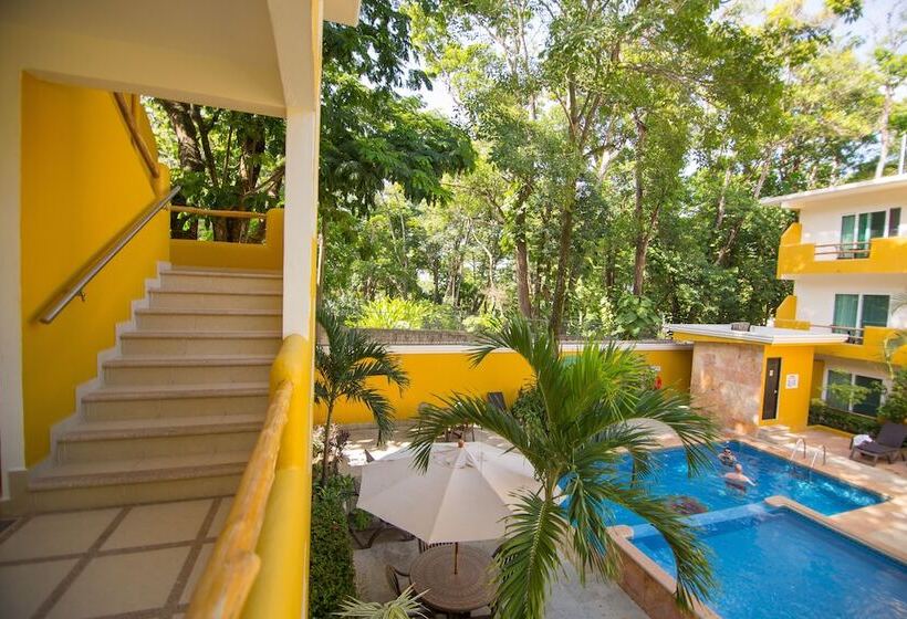 فندق Chablis Palenque