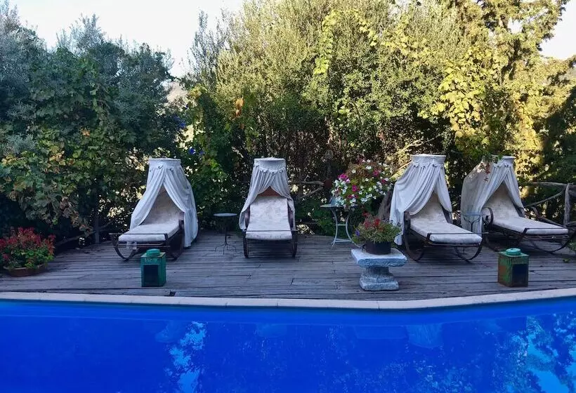 호텔 Pavezzo Country Retreat