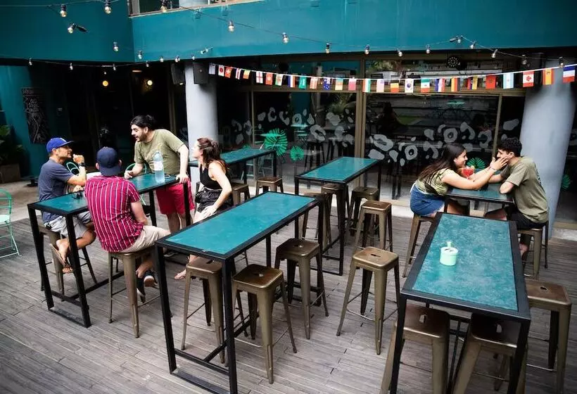 هتل Viajero Hostel Buenos Aires