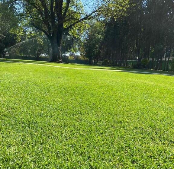 Villas Arqueologicas Cholula