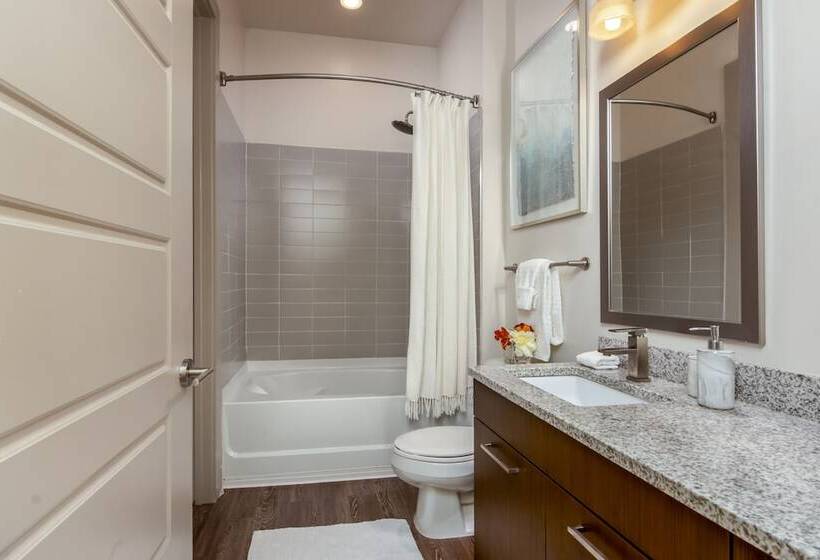 Chic Collection By Nohotel On Piedmont