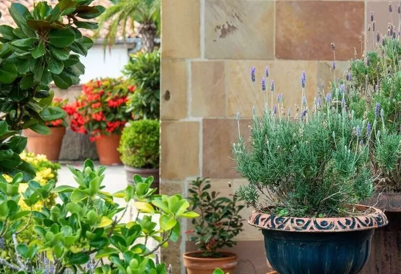 Apartamentos Costa Esmeralda