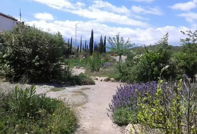 בית מלון כפרי Cuevas Del Zenete
