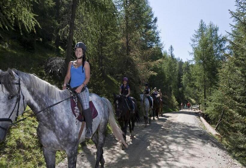 Отель Lärchenhof