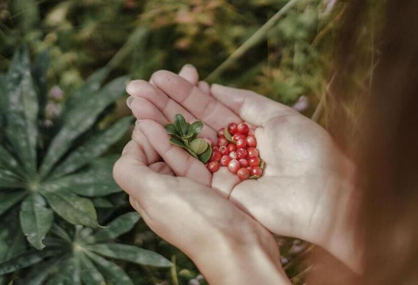 Отель Lärchenhof