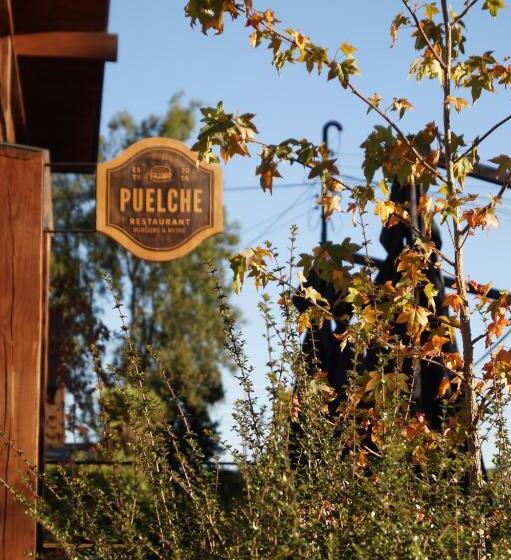 هتل Puelche