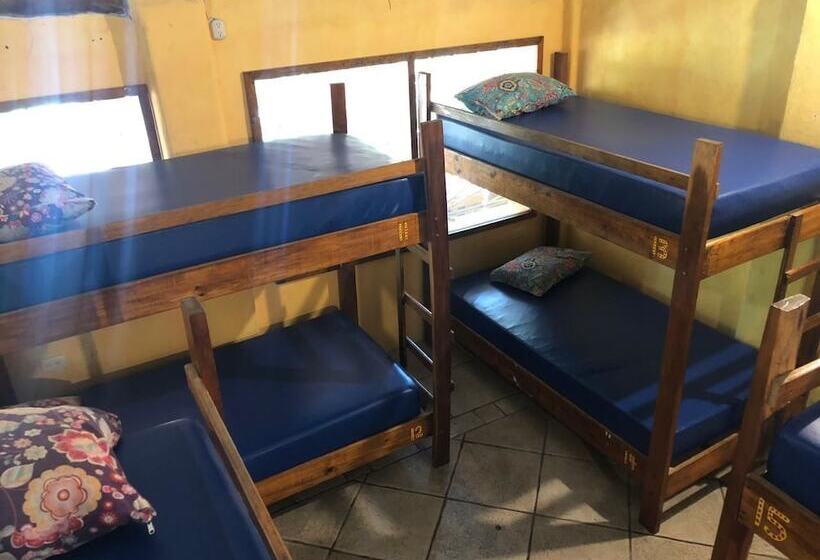 تختخواب و صبحانه Hostal La Malinche   Hostel